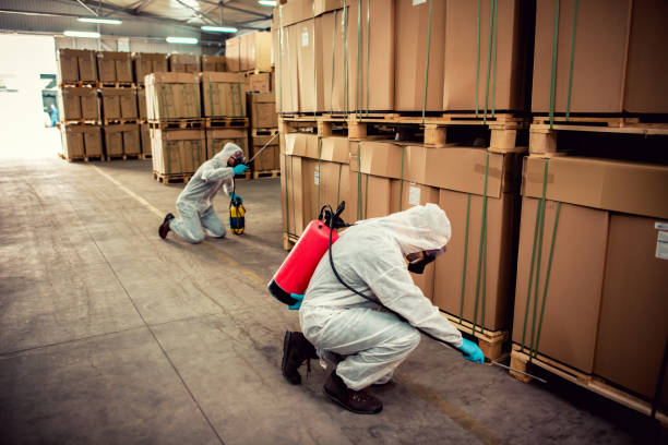 Best Pest Removal Services  in Pearson, GA