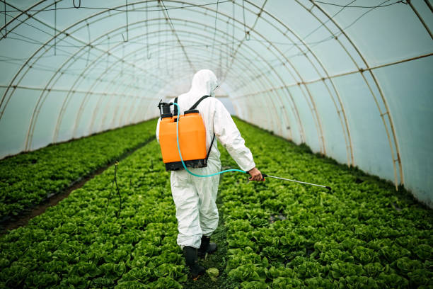 Best Ant Control Services  in Pearson, GA