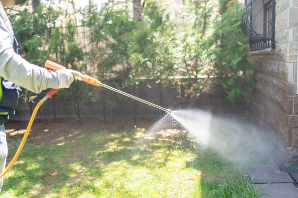 Best Bird Control  in Pearson, GA
